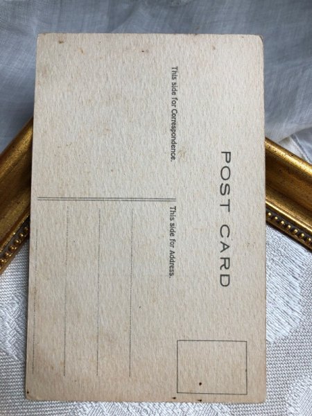 画像2: Postcard  赤いジャケットのブルドッグ犬 (未使用) (2)