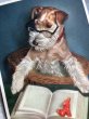 画像2: Postcard  読書をするワイヤーフォックステリア犬　 (2)