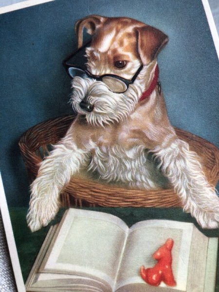 画像2: Postcard  読書をするワイヤーフォックステリア犬  (2)