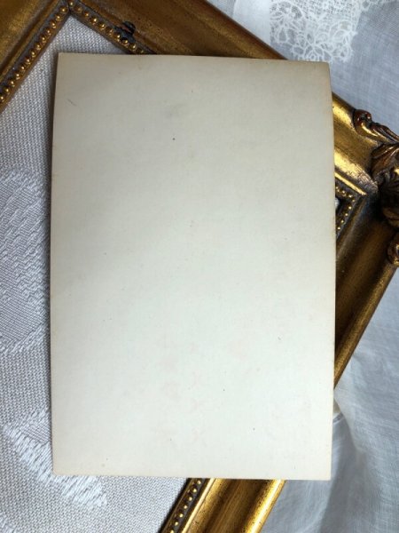 画像3: Postcard  　キスをする犬たち　写真　 (3)