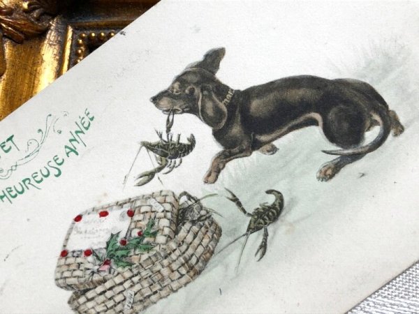 画像2: Postcard   ロブスター(ザリガニ?)とダックスフンド犬 ウィーン趣味 VIENNE (2)
