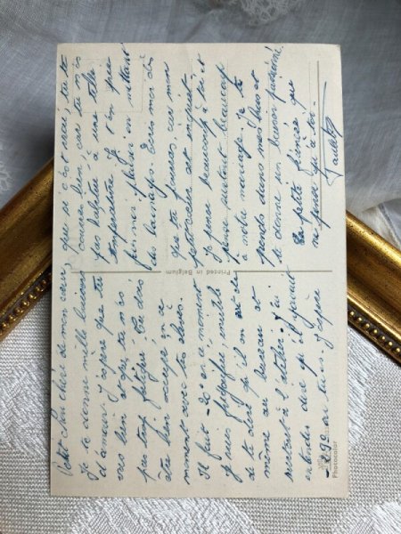 画像3: Postcard  読書をするワイヤーフォックステリア犬  (3)