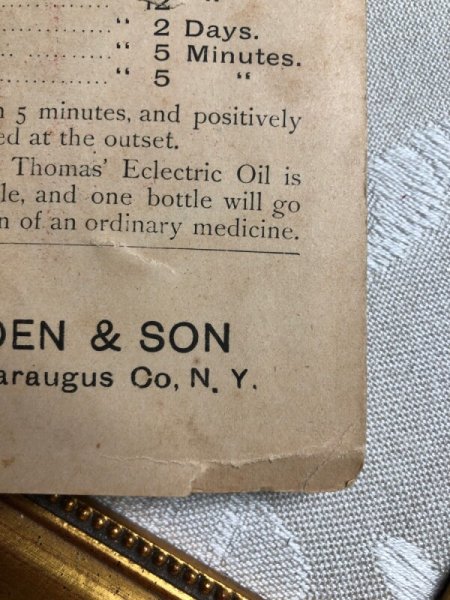 画像2: Trade card ソリに乗る猫 Dr. Thomas Electric Oil (2)