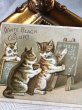 画像2: Trade card　子猫の学校　算数　 (2)