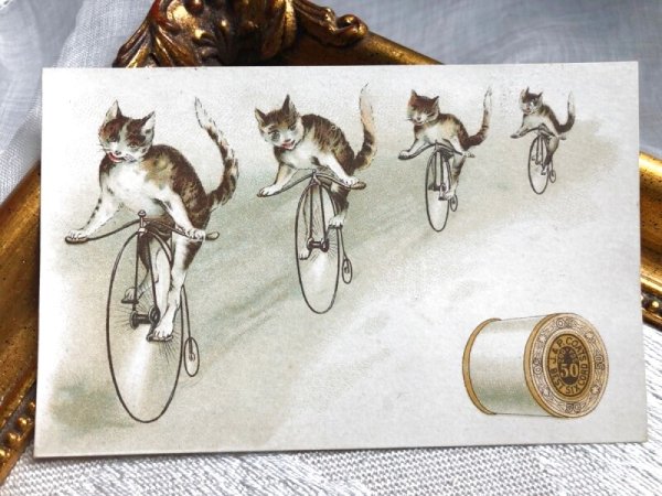 画像1: Trade card　自転車に乗る猫　 (1)