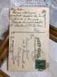 画像4: Postcard　デイジーのお花占い　アメリカ1908年　仕掛けカード (4)