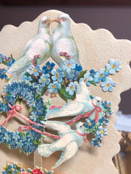 鳩の翼が切れています。