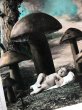 画像2: Postcard　キノコの森の赤ちゃん　フランス (2)
