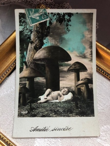画像1: Postcard　キノコの森の赤ちゃん　フランス (1)