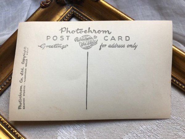 画像3: Postcard イギリス王室 エリザベス女王の戴冠式 パレード 1953年 (未使用) (3)