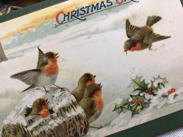 画像2: Postcard  クリスマス Xmas ロビン 小鳥 1907年 (2)