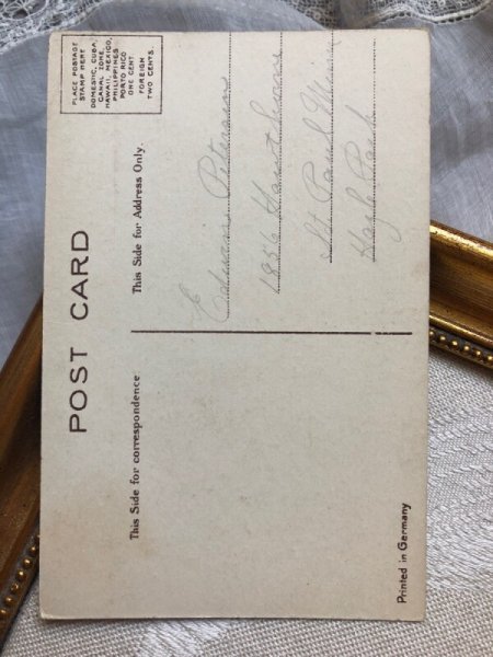 画像3: ▼SALE500▼ Postcard ロビン 小鳥の巣 (3)