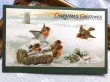 画像1: Postcard  クリスマス　Xmas　ロビン　小鳥　1907年 (1)