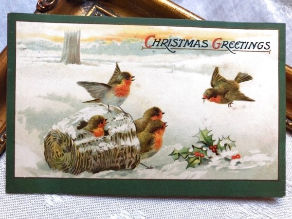 画像1: Postcard  クリスマス　Xmas　ロビン　小鳥　1907年 (1)