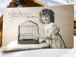 画像1: Postcard　鳥かごと女の子　ドイツ1910年 (1)