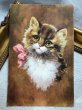 画像1: Postcard  　ピンク色のリボンの猫 (1)