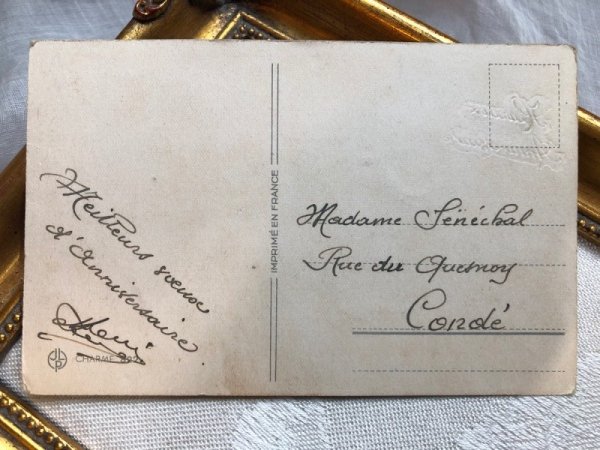 画像3: Postcard   3匹のテリア犬 ジャックラッセルテリア ワイヤーフォックステリア (3)