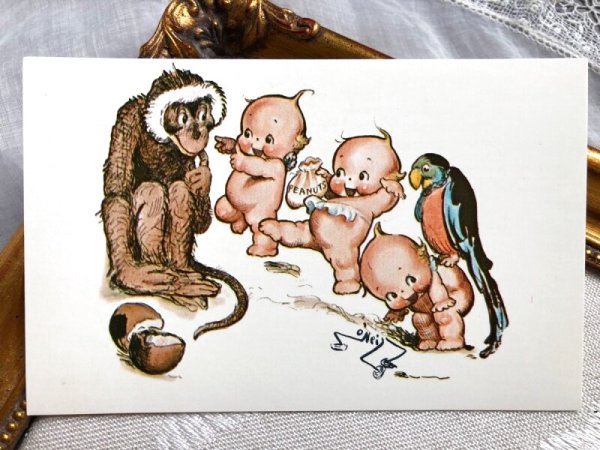 画像1: Postcard  　お猿とオウムとキューピーちゃん　Rose O'Neil　アメリカ1970年代　（未使用） (1)
