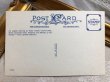 画像3: Postcard  　毛糸とキューピーちゃん　Rose O'Neil　アメリカ1970年代　（未使用） (3)