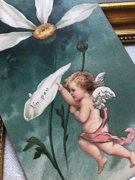 画像3: Postcard  お花占いの天使（妖精） Ellen Clapsaddle　（未使用） (3)