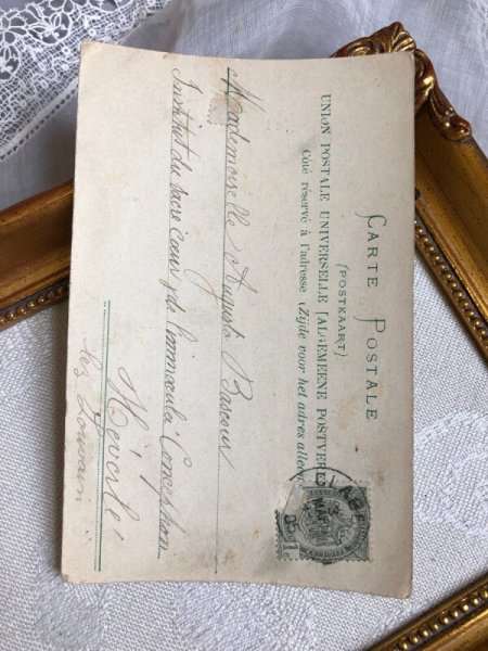 画像4: ▼SALE500▼ Postcard  スズランのお花 フランス (4)