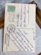 画像3: Postcard 　スミレのお花　ベルギー1910年 (3)