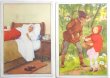 画像1: Vintage card  ビンテージカード2枚組　童話　赤ずきんちゃんとオオカミ　ベルギー　2枚組　Les contes de perrault 8 / 16 /   TINTIN CHEQUE (1)