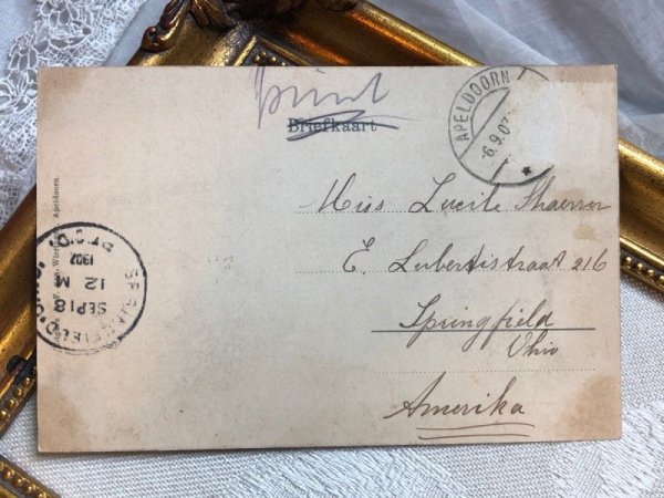 画像3: Postcard  アンティークポストカード　オランダ　アーペルドールンの夕暮れ　Apeldoorn　1907年 (3)