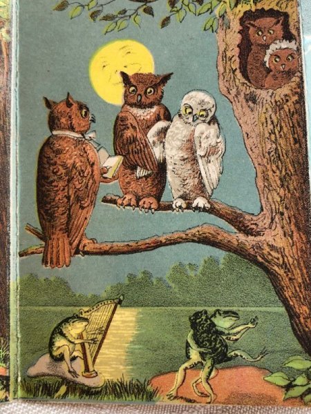 画像3: Trade card アンティークトレードカード フクロウのカップルと酔っ払いのカエルさん キノコ アメリカ (3)