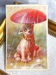 画像2: Postcard　アンティークポストカード　キノコの下で雨宿りをする犬 (2)