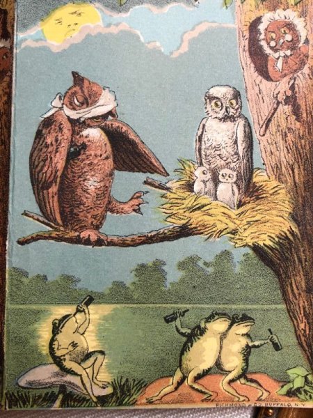 画像4: Trade card アンティークトレードカード フクロウのカップルと酔っ払いのカエルさん キノコ アメリカ (4)