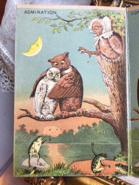 画像2: Trade card アンティークトレードカード フクロウのカップルと酔っ払いのカエルさん キノコ アメリカ (2)