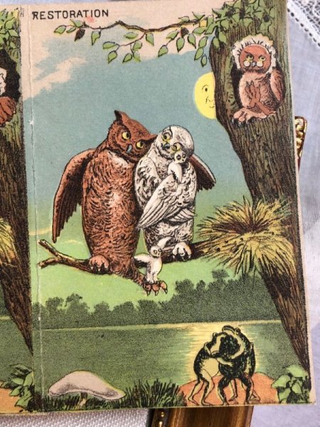 画像4: Trade card　アンティークトレードカード　フクロウのカップルと酔っ払いのカエルさん　キノコ　アメリカ (4)