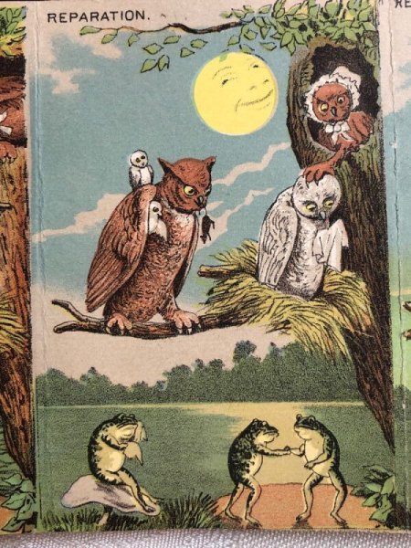 画像3: Trade card　アンティークトレードカード　フクロウのカップルと酔っ払いのカエルさん　キノコ　アメリカ (3)