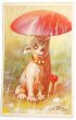 画像1: Postcard　アンティークポストカード　キノコの下で雨宿りをする犬 (1)