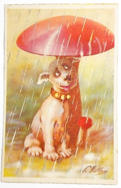 画像1: Postcard　アンティークポストカード　キノコの下で雨宿りをする犬 (1)