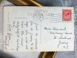 画像4: Postcard 　アンティークポストカード　木の枝に座る女の子と妖精ブーブー　Mable Lucie Attwell　イギリス1930年  (4)