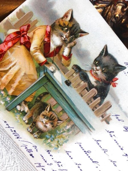 画像3: Postcard   アンティークポストカード 手紙を書く猫 スイス1904年 (3)