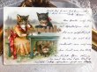 画像2: Postcard  　アンティークポストカード　手紙を書く猫　スイス1904年 (2)