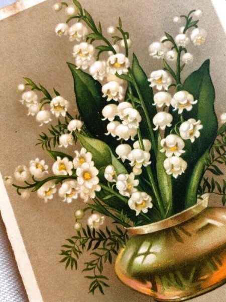 画像3: Postcard  アンティークポストカード スズランのお花 フランス (3)