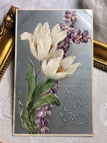 画像2: Postcard  アンティークポストカード スミレのお花と白いチューリップ 1909年 (2)