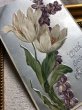 画像3: Postcard  アンティークポストカード　スミレのお花と白いチューリップ　1909年 (3)