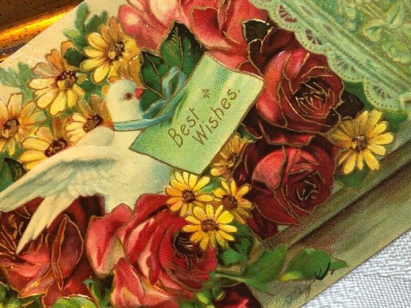 画像3: Postcard 　アンティークポストカード　お花と伝書鳩　デイジー　薔薇　アメリカ1908年 (3)
