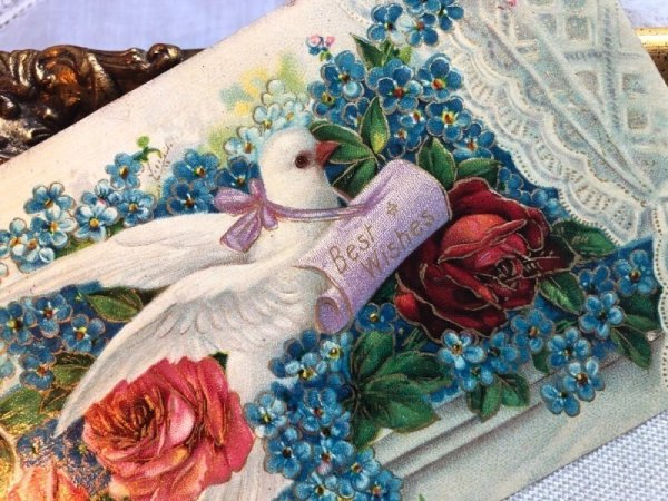 画像3: Postcard  アンティークポストカード お花と伝書鳩 忘れな草 薔薇 アメリカ1908年 (3)