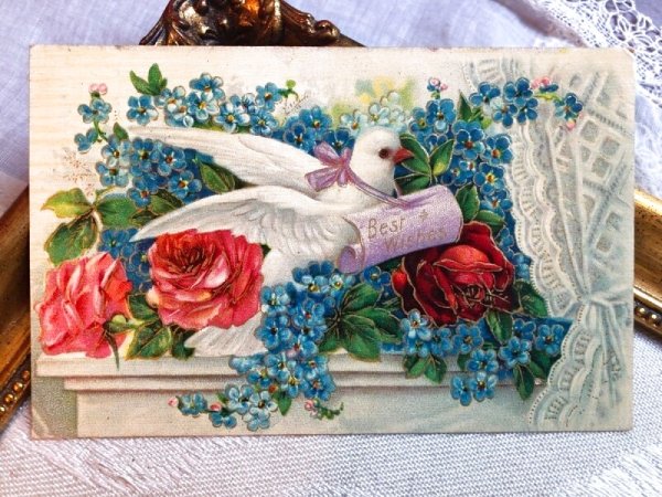 画像2: Postcard  アンティークポストカード お花と伝書鳩 忘れな草 薔薇 アメリカ1908年 (2)