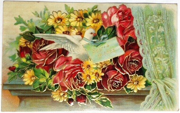 画像1: Postcard 　アンティークポストカード　お花と伝書鳩　デイジー　薔薇　アメリカ1909年 (1)