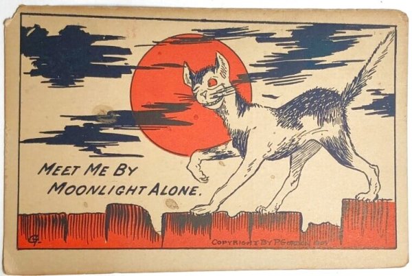 画像1: Postcard  　アンティークポストカード　塀の上を歩く猫 (1)
