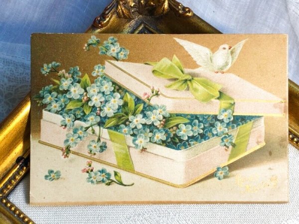 画像2: Postcard  　アンティークポストカード　忘れな草のお花の箱　伝書鳩　（未使用） (2)