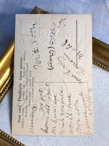 画像4: Postcard  　アンティークポストカード　忘れな草のお花と鳩 (4)