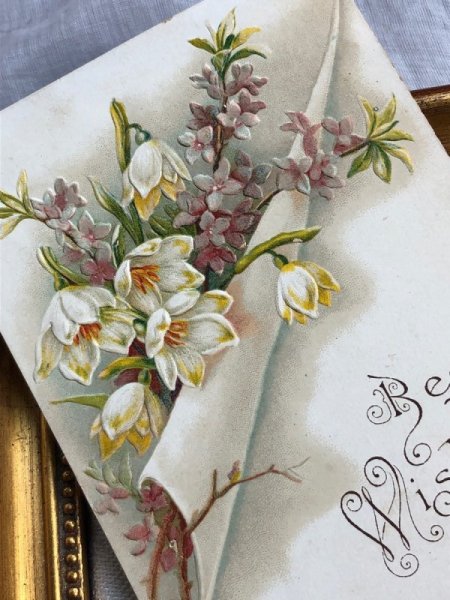 画像3: ▼SALE500▼ Postcard   アンティークポストカード お花 (3)